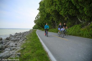 bikes